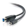 Cables to Go 10Ft (3M) Usb 3.0 (Usb 3.1 Gen 1) Usb-C To Usb-B Cable M/M - Black Hot