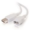 Cables to Go 9.8Ft (3M) Usb 2.0 A Male To A Female Extension Cable - White Hot